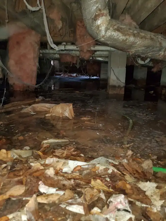 Crawl space flood assessment for Leak Detection & Repair in Sienna