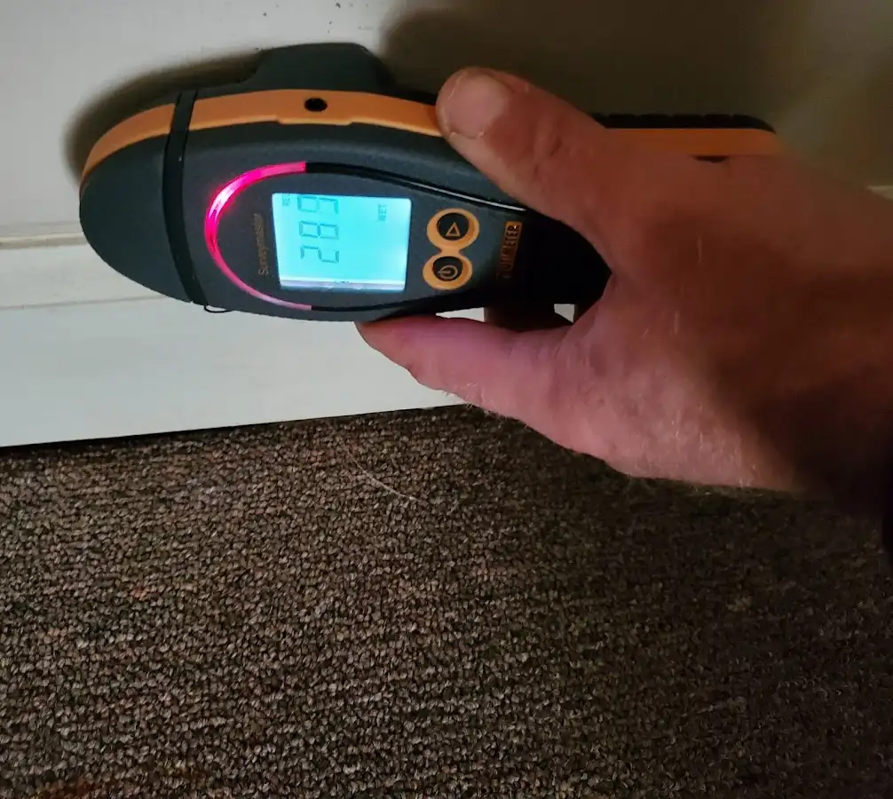Moisture detection at baseboard during Mold Inspection & Testing in Sienna